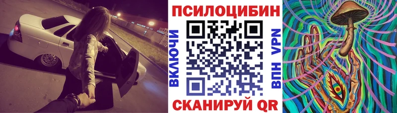 магазин продажи Муром Галлюциногенные грибы Magic Shrooms