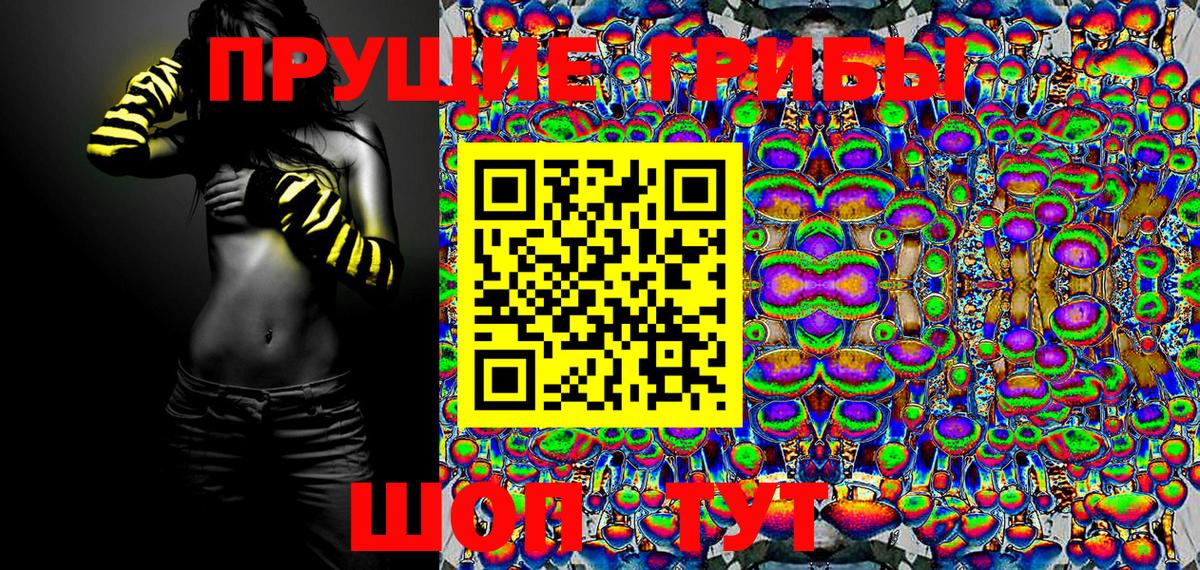 Галлюциногенные грибы Psilocybine cubensis  наркотики  Муром  Вход с VPN 