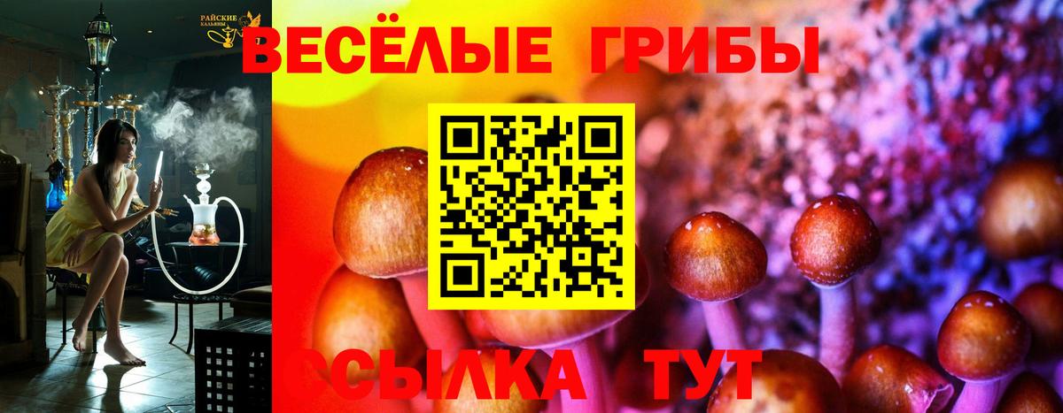 Муром  Псилоцибиновые грибы Psilocybine cubensis  где продают   Псилоцибиновые грибы Psilocybe  Вход с VPN 